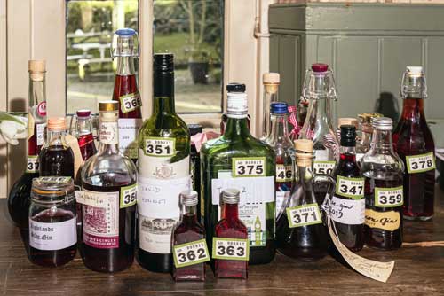 Sloe gin entries